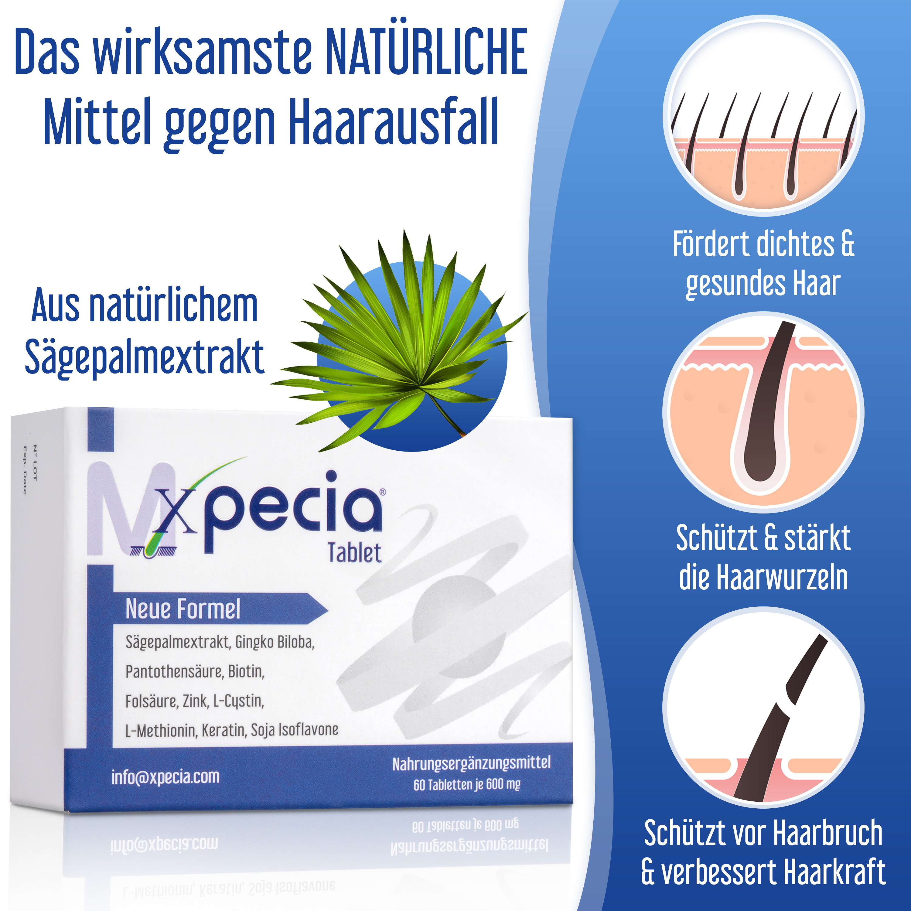Xpecia gegen Haarverlust bei Männern 6 Stück