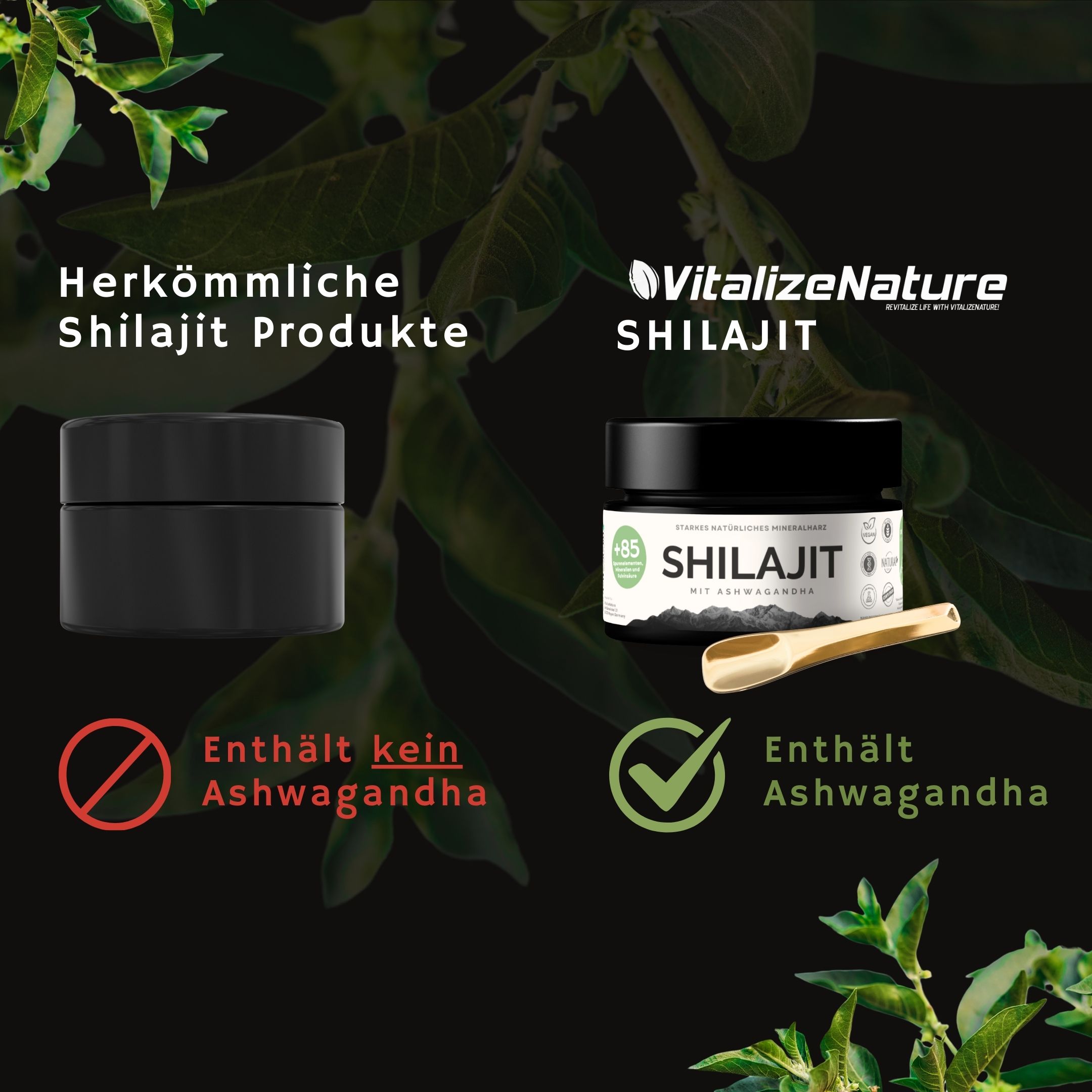 VitalizeNature - Shilajit - 30g Shilajit Original + Ashwagandha - natürliches Himalaya Shilajit - 500mg Shilajit Resin pro Tagesdosis & 100mg Ashwanganda - Shijalit & Ayurvedischer Kräutermischung #1