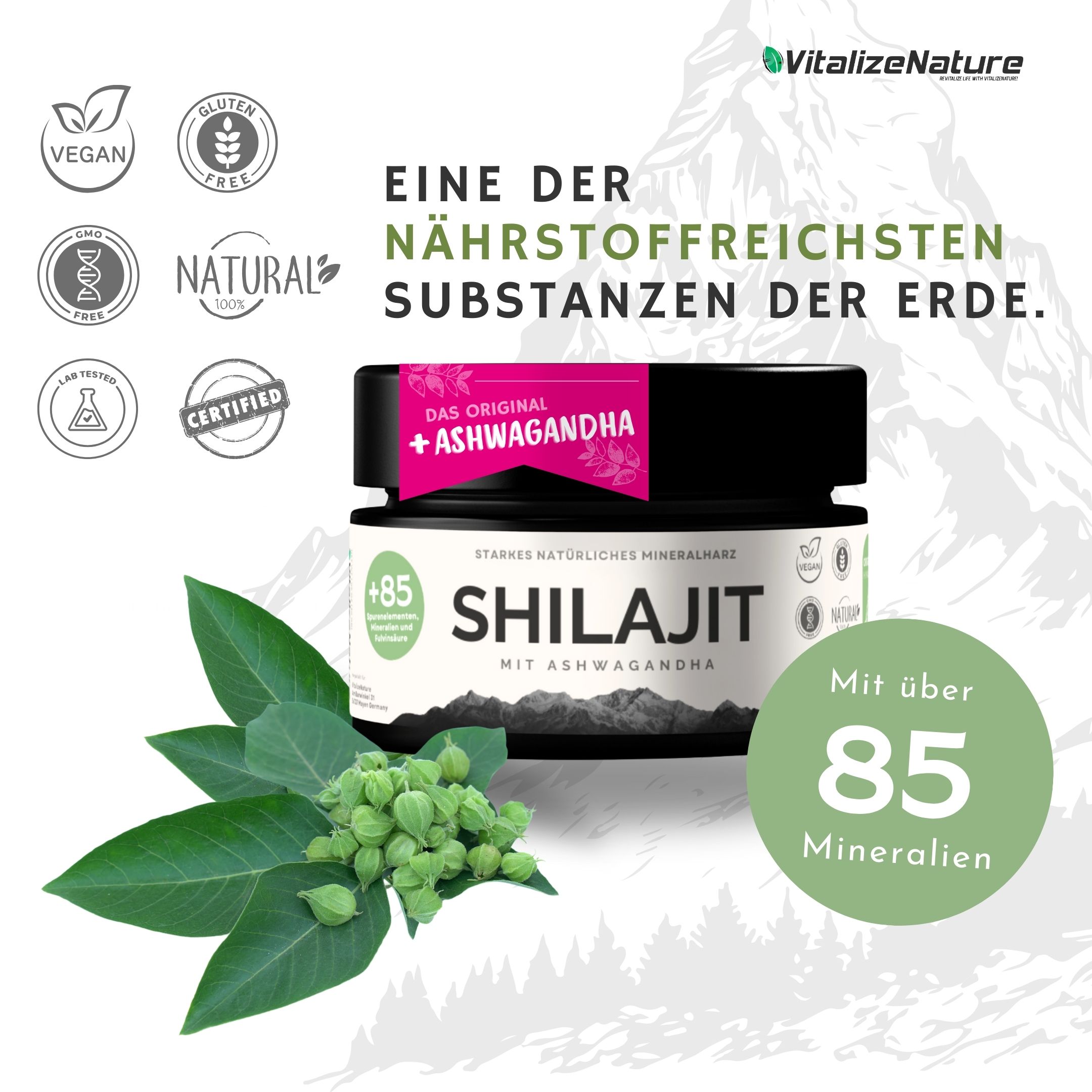 VitalizeNature - Shilajit - 30g Shilajit Original + Ashwagandha - natürliches Himalaya Shilajit - 500mg Shilajit Resin pro Tagesdosis & 100mg Ashwanganda - Shijalit & Ayurvedischer Kräutermischung #1