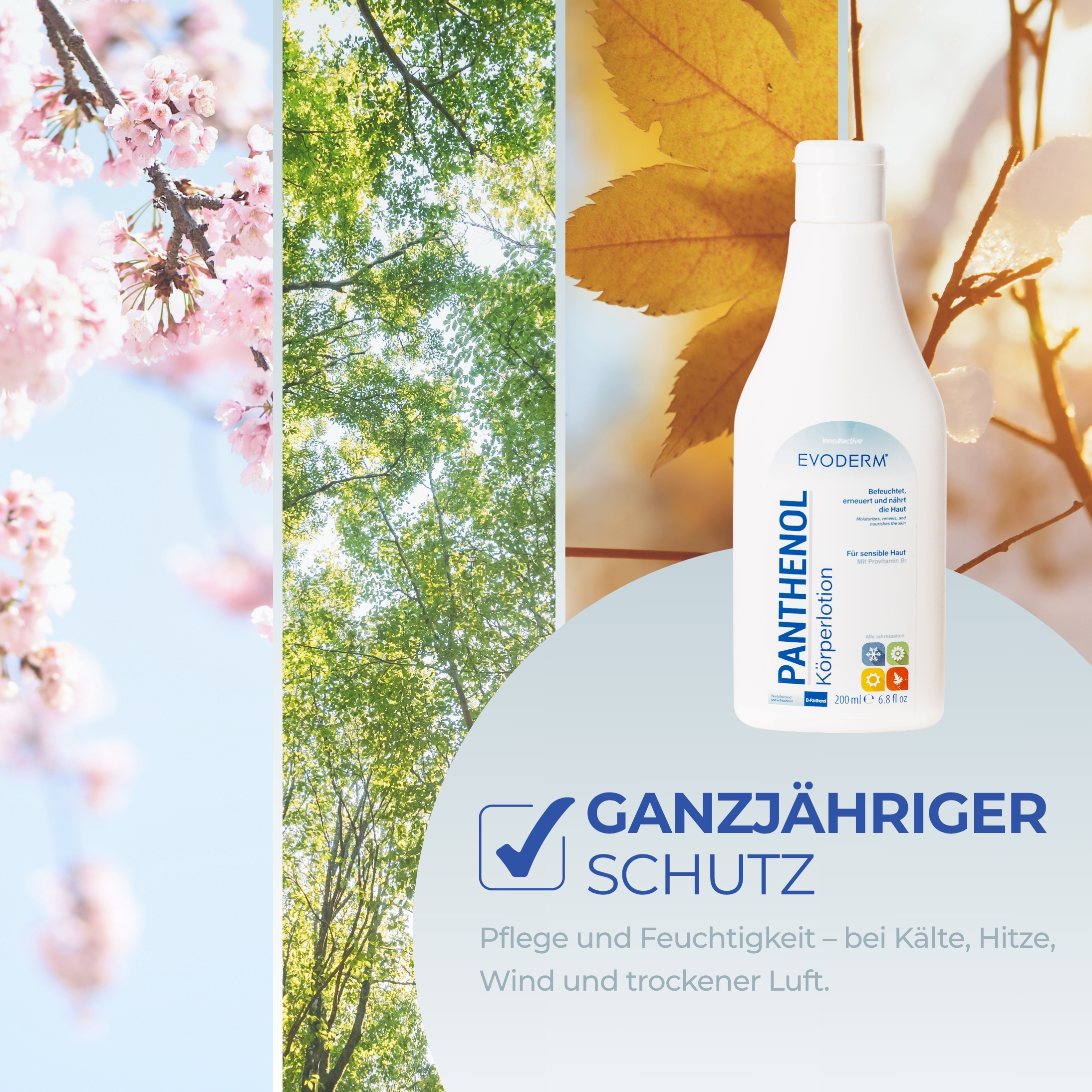 Panthenol Body Lotion 