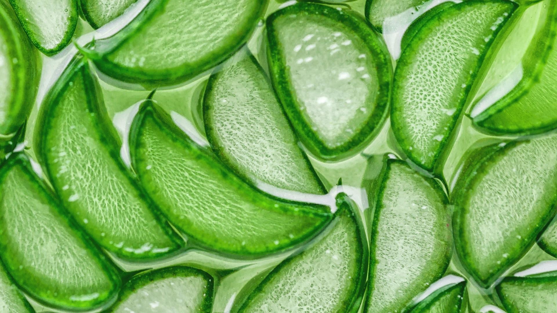Aloe vera