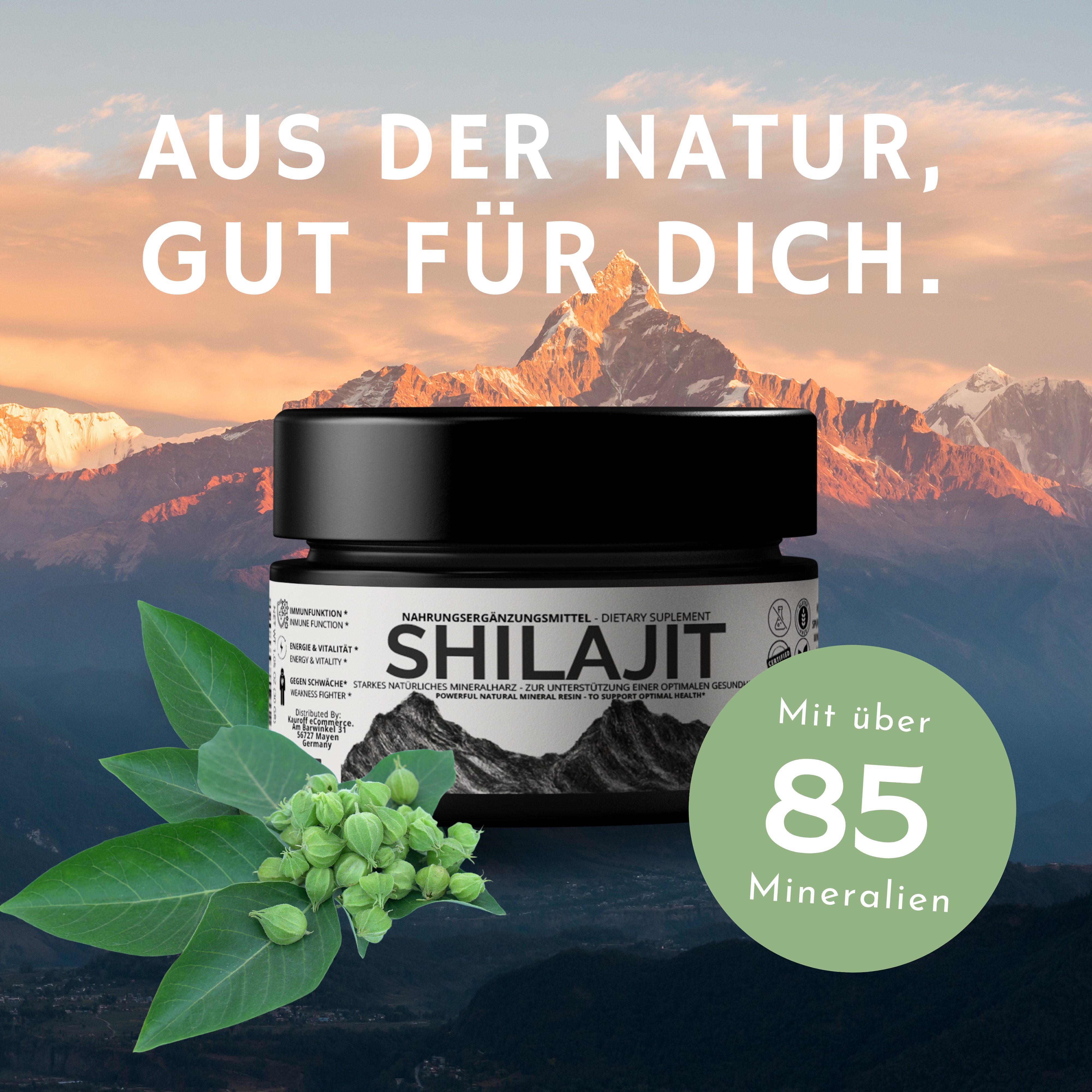 VitalizeNature - Shilajit - 30g Shilajit Original + Ashwagandha - natürliches Himalaya Shilajit - 500mg Shilajit Resin pro Tagesdosis & 100mg Ashwanganda - Shijalit & Ayurvedischer Kräutermischung #1