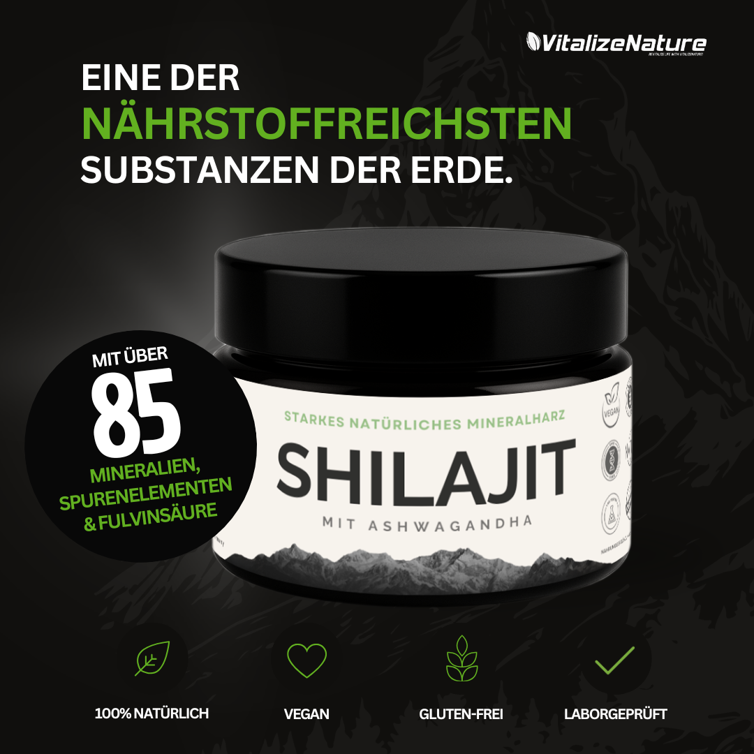 VitalizeNature Shilajit 3x30g – Original Himalaya Harz + Ashwagandha