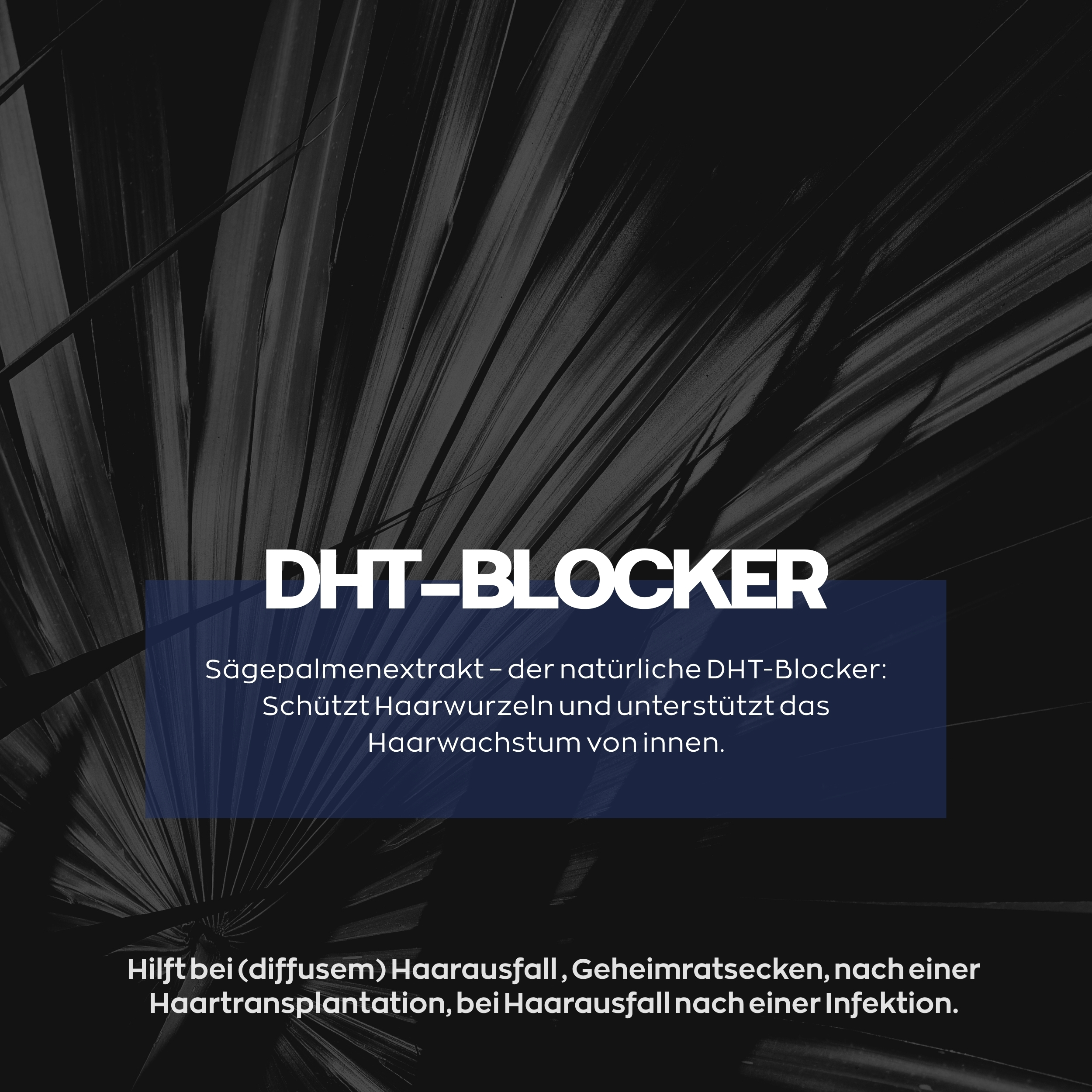 Xpecia Tabletten für Männer – Natürlicher DHT-Blocker gegen Haarausfall 12 Stück